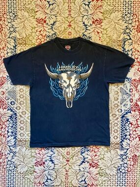 Vintage Harley Davidson RK Stratman Shirt L 90s Blue Flames Skull Colorado USA